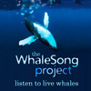 Whale Song Project