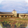 Centennial Vineyards