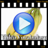 Video Vocabulary - Arabic