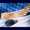 Hockey Facts & Stats