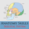 Anatomy Skills - Skeletal System (Bones of the Body)