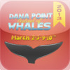 The Dana Point Festival Of Whales