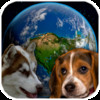 Amazing Earth 3D: Dogs