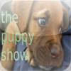 PuppyShow