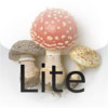 Wild Mushrooms of North America and Europe by Roger Phillips (Lite)