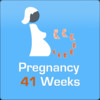 Pregnancy and Diet 41 Weeks