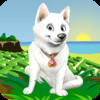 Cool Dog - Best 3D Cute Puppy Adventure Maze Race Game