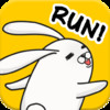 Little Bunny Run