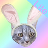 Tappy Easter - Lite