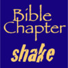 Bible Chapter Shake