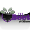 The Beet