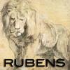 Drawings: Rubens