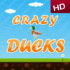 Crazy Ducks HD