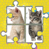 Cute Cats : 150+ Jigsaw World Puzzles