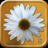 The Flower Puzzle HD