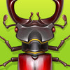 Forest Bugs - Tap Smash Game for Kids and Adults