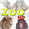 Learn for fun - Zoo [HD]