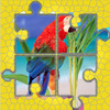 Birds : Jigsaw World. 300 Jigsaw Puzzles for Kids