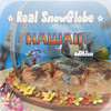 Real SnowGlobe Hawaii