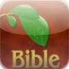 Bible Plant