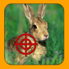 Rabbit Hunter Pro: 2014