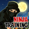 Ninja Jump Training