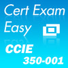 CertExam:CCIE 350-001