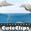 CuteClips: The Cutest Dolphins