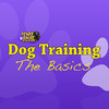 Crazy Daisy Dog Training Basics