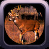 Deer Hunter Gold: Sniper Hunting 2