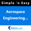 Aerospace Engineering and Flight 101 by WAGmob
