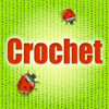 Crocheting For Fun & Profits Learn How to Crochet
