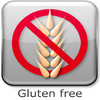 What is Gluten + Gluten Free Recipes