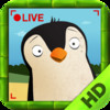 Pocket Zoo HD  with Live Animal Cams