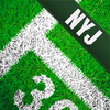 New York Jets Pro Football Scores
