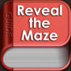 Guide for Reveal The Maze