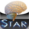 Anatomy Star - CNS (the Brain)