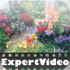 ExpertVideo: Gardening Basics