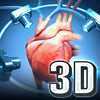 MeAV Anatomie 3D