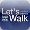 Let’s Walk by Shokubutsu For Men