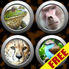 Animal Button Box FREE