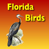 Birds - Common Species of South Florida