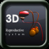 3D Reproductive System