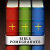 Bible Pomegranate