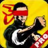 Wing Chun Chi Sau PRO