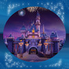 Photo Gallery - Disneyland Edition