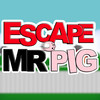 Escape Mr Pig