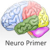 Neuro Primer