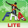 French Ligue 1 2011/12 Lite