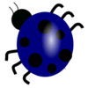 Sensor Bug